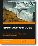 Cover of jBPM6 Developer Guide